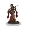 WizKids Pathfinder Battles: Female Human Bard Premium Painted Figure -Game Promotie Winkel pathfinder battles female human bard premium paint