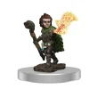 WizKids Pathfinder Battles: Male Gnome Druid Premium Painted Figure 2 WizKids Pathfinder Battles: Male Gnome Druid Premium Painted Figure -Game Promotie Winkel pathfinder battles male gnome druid premium painte
