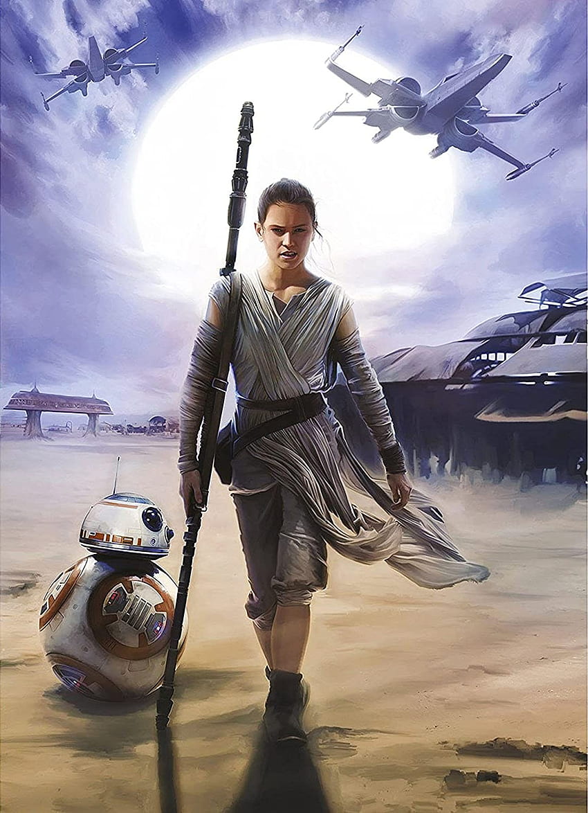 Game Promotie Winkel 34 Game Promotie Winkel -Game Promotie Winkel desktop wallpaper wall mural star wars rey 6 x8 4 jakku komar sci